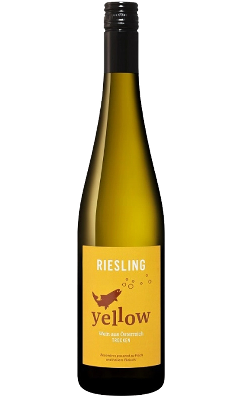 Штейншаден Еллоу Рислинг, 2023