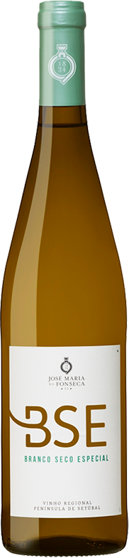 Хосе Мария да Фонсека БСЕ, 2015 -2017