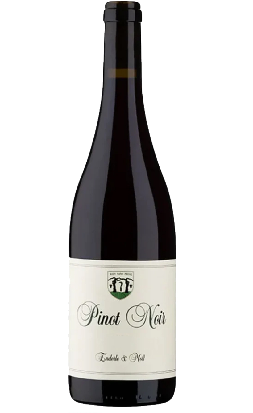 Вайнгут Эндерле & Молль Пино Нуар Базис, 2023