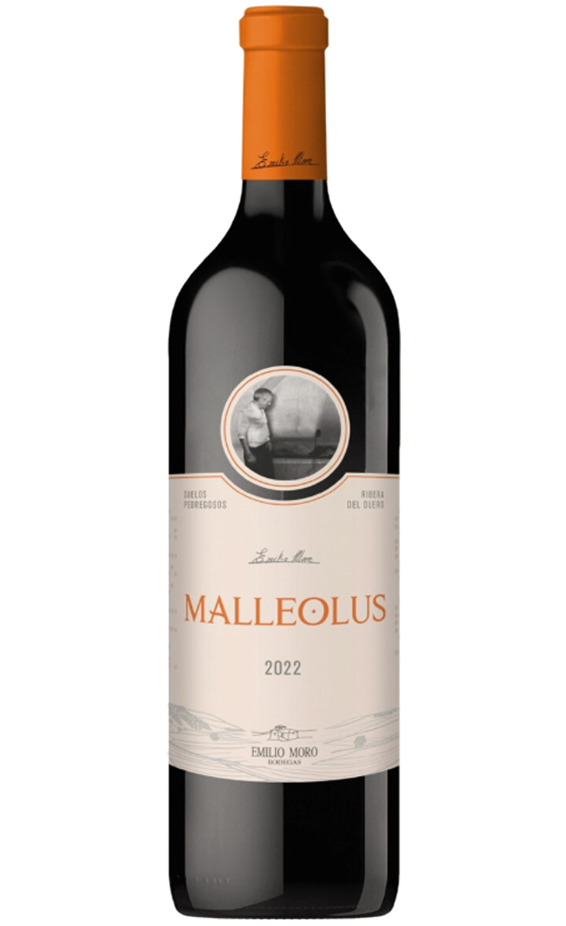 Эмилио Моро Мальеолус, 2022