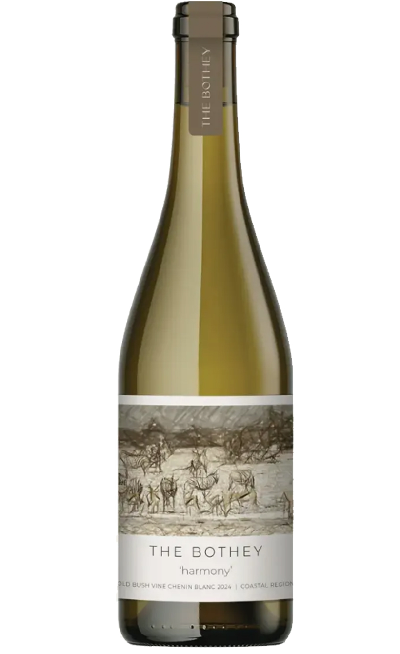 Зе Бозей Хармони Шенен Блан, 2024