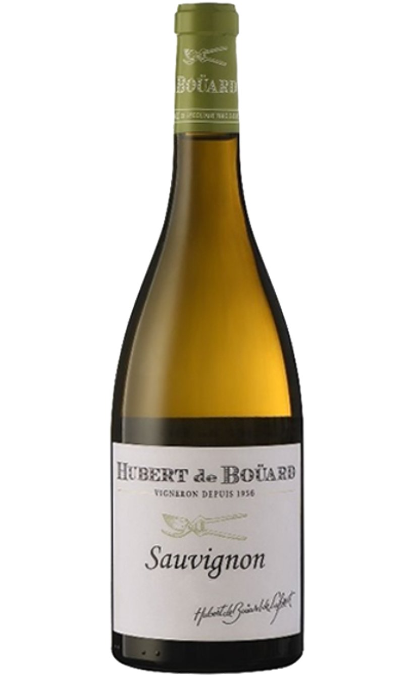 Юбер де Буар Совиньон, 2017