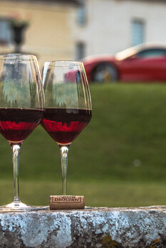 Самые необычные вина в мире