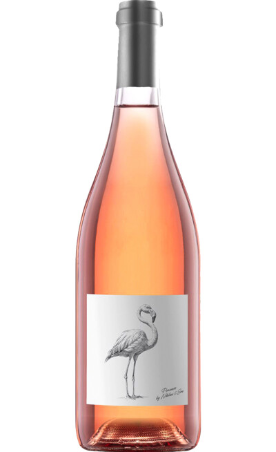 Николаев и Сыновья Фламинго, 2024 фото