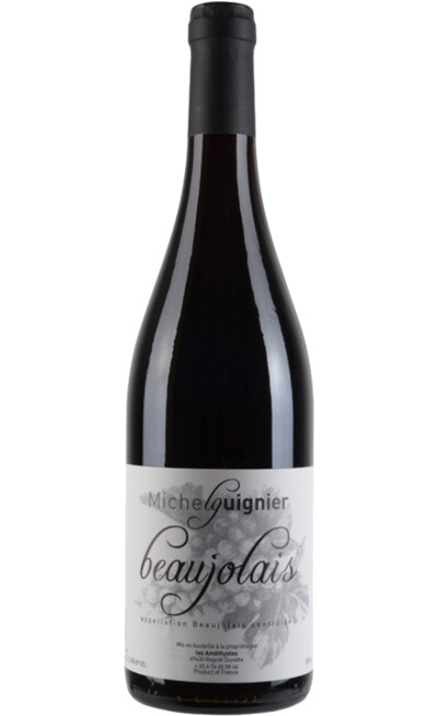 Мишель Гинье Моргон Традисьон, 2022 фото