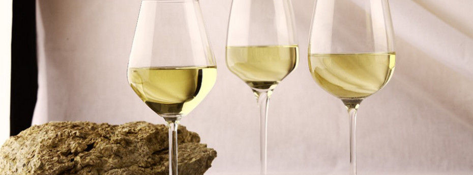 Знакомство с бургундским белым вином